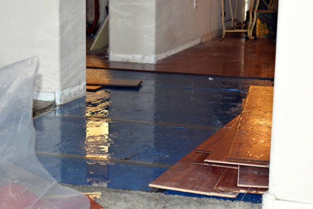 Professional Sewage Cleanup technician working in Clark, MO
